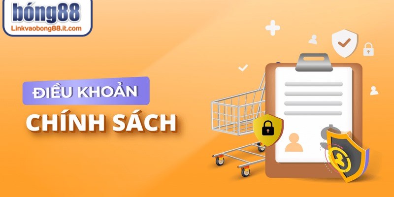 Việc chấp thuận điều khoản ngay từ bước đăng ký rất quan trọng
