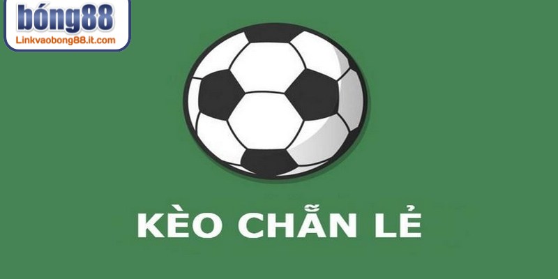 Giao diện đặt cược kèo chẵn lẻ BONG88 hiển thị rõ ràng