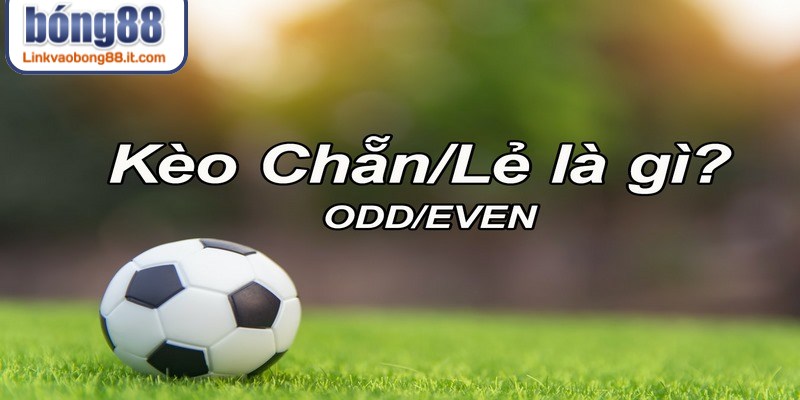 Phân tích lịch sử tỷ số giúp nâng cao khả năng dự đoán kèo chẵn lẻ BONG88