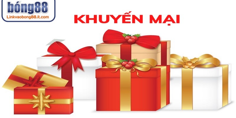 Nếu có bất kỳ thắc mắc nào về cách nhận chỉ cần liên hệ đến trang