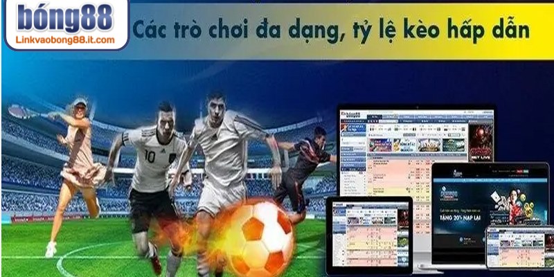 Giải đáp những thắc mắc phổ biến liên quan đến tải app nhà cái 